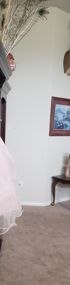 HP🎊 Adorable pink fit and flare gold eyelet upper double tulle layered skirt - Picture 5 of 9